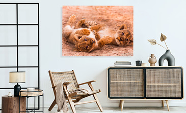 Visualisatie van het product