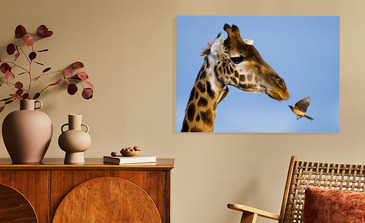 Visualisatie van het product