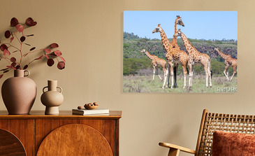 Visualisatie van het product