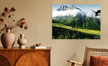 Visualisatie van het product