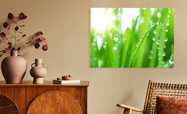 Visualisatie van het product