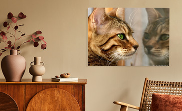 Visualisatie van het product