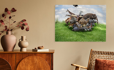 Visualisatie van het product