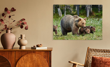 Visualisatie van het product