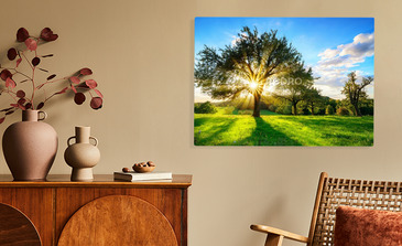 Visualisatie van het product