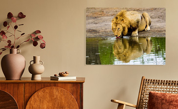 Visualisatie van het product