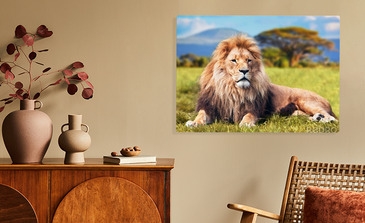 Visualisatie van het product