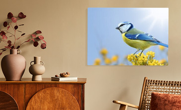 Visualisatie van het product