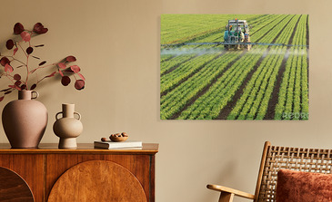 Visualisatie van het product