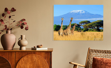 Visualisatie van het product