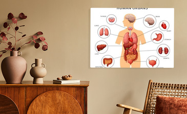 Visualisatie van het product