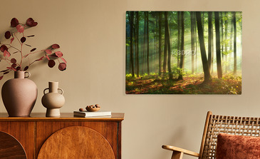 Visualisatie van het product