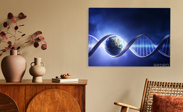 Visualisatie van het product