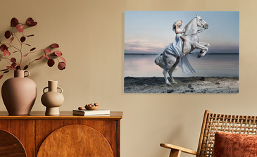 Visualisatie van het product