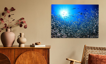 Visualisatie van het product