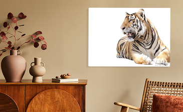 Visualisatie van het product