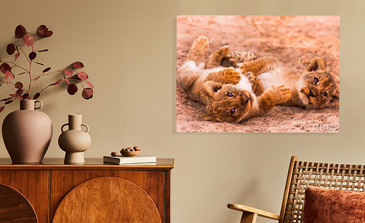 Visualisatie van het product