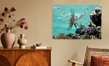 Visualisatie van het product