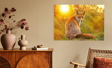 Visualisatie van het product