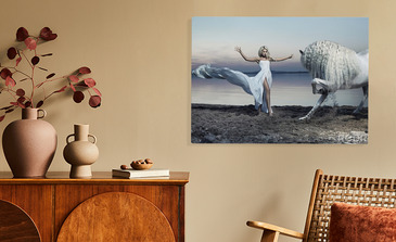 Visualisatie van het product