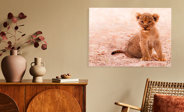 Visualisatie van het product