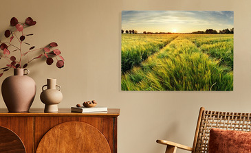 Visualisatie van het product