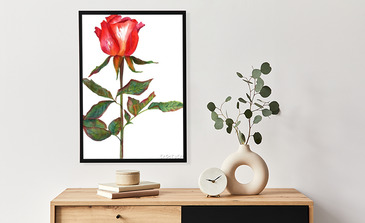 Visualisatie van het product