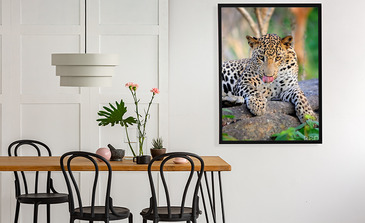 Visualisatie van het product