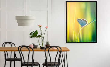 Visualisatie van het product