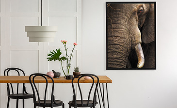 Visualisatie van het product