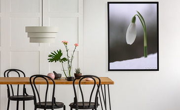 Visualisatie van het product