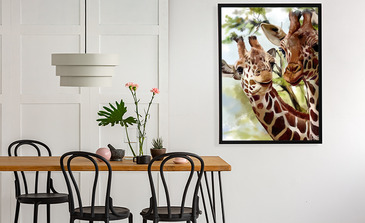 Visualisatie van het product