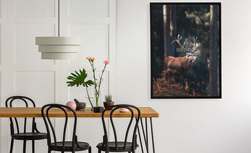 Visualisatie van het product