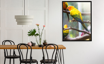 Visualisatie van het product