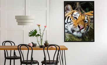 Visualisatie van het product