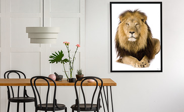 Visualisatie van het product