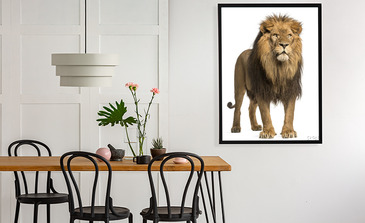 Visualisatie van het product