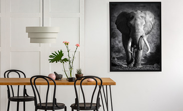 Visualisatie van het product