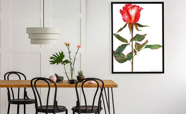 Visualisatie van het product