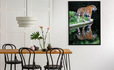 Visualisatie van het product