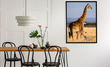 Visualisatie van het product