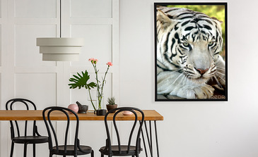 Visualisatie van het product