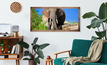 Visualisatie van het product