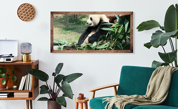 Visualisatie van het product