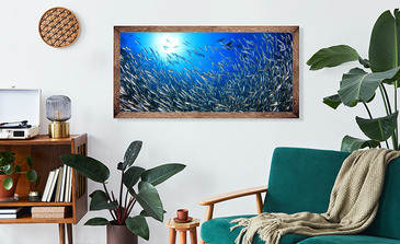 Visualisatie van het product