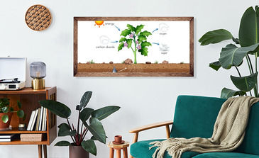 Visualisatie van het product