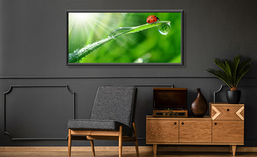 Visualisatie van het product