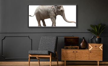 Visualisatie van het product