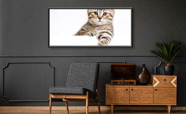 Visualisatie van het product