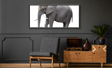 Visualisatie van het product